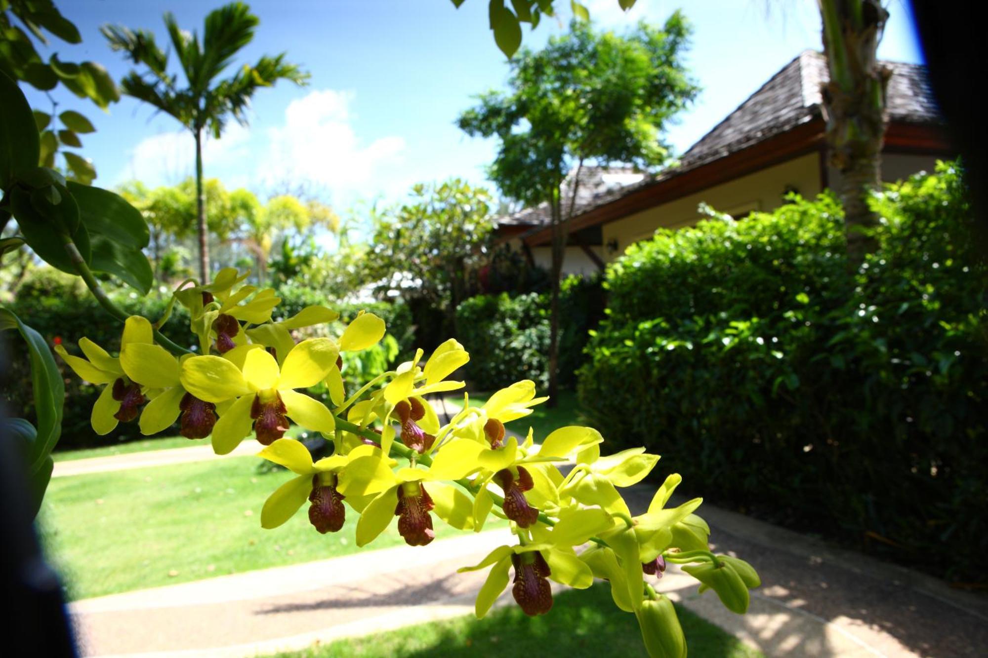 Pai Tan Villas - Sha Extra Plus Bang Tao Beach  Exterior photo